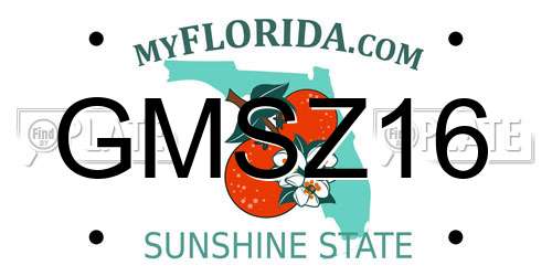 GMSZ16 Florida License Plate