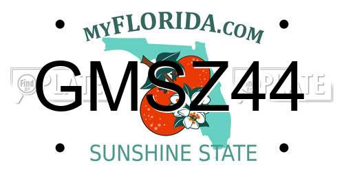GMSZ44 Florida License Plate