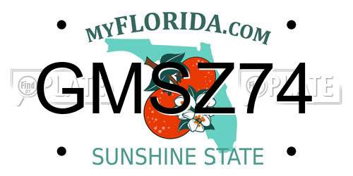 GMSZ74 Florida License Plate