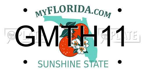 GMTH11 Florida License Plate