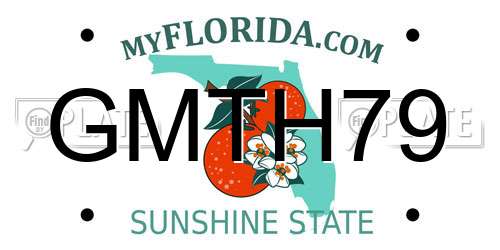 GMTH79 Florida License Plate