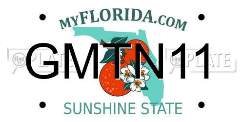 GMTN11 Florida License Plate