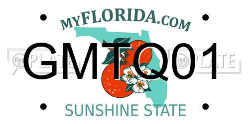 GMTQ01 Florida License Plate