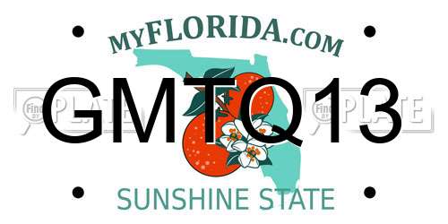 GMTQ13 Florida License Plate