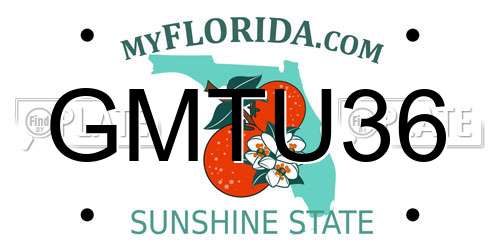 GMTU36 Florida License Plate