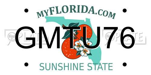 GMTU76 Florida License Plate