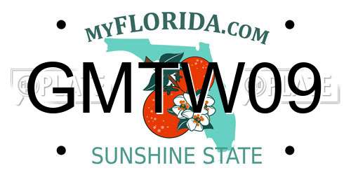 GMTW09 Florida License Plate