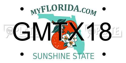 GMTX18 Florida License Plate