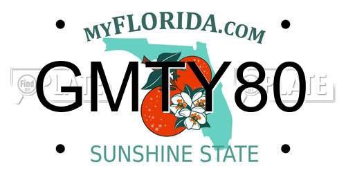 GMTY80 Florida License Plate
