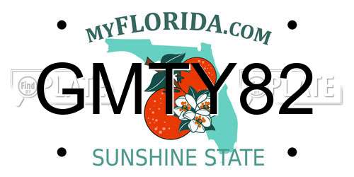 GMTY82 Florida License Plate