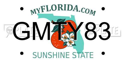 GMTY83 Florida License Plate