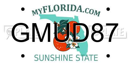 GMUD87 Florida License Plate