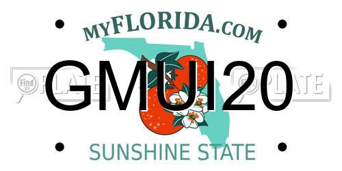 GMUI20 Florida License Plate