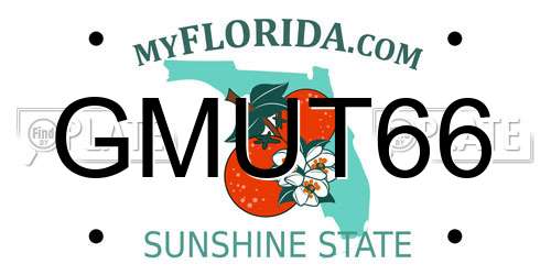 GMUT66 Florida License Plate