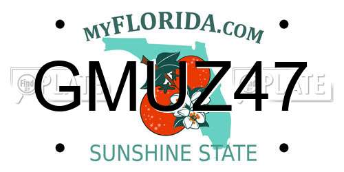 GMUZ47 Florida License Plate