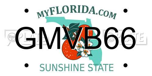 GMVB66 Florida License Plate