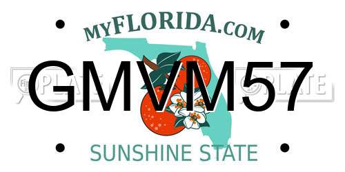 GMVM57 Florida License Plate