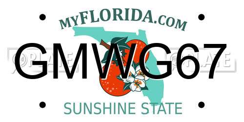 GMWG67 Florida License Plate