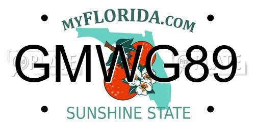 GMWG89 Florida License Plate