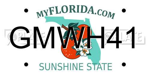GMWH41 Florida License Plate