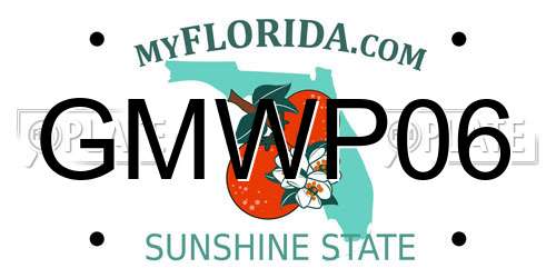 GMWP06 Florida License Plate
