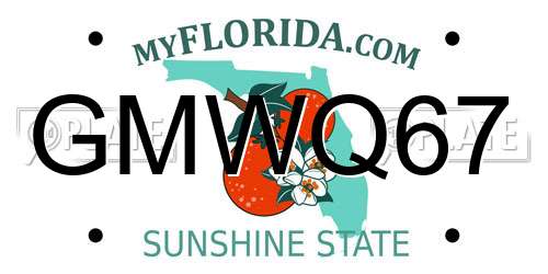 GMWQ67 Florida License Plate