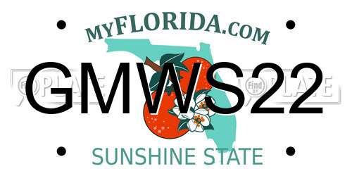 GMWS22 Florida License Plate