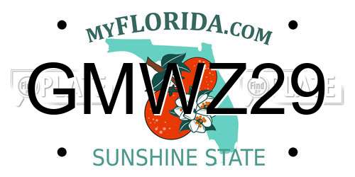 GMWZ29 Florida License Plate