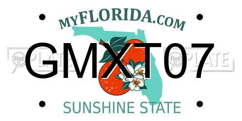 GMXT07 Florida License Plate