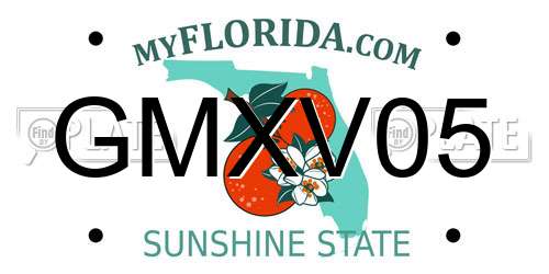 GMXV05 Florida License Plate
