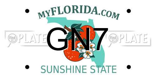 GN7 Florida License Plate