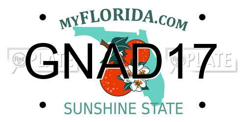 GNAD17 Florida License Plate
