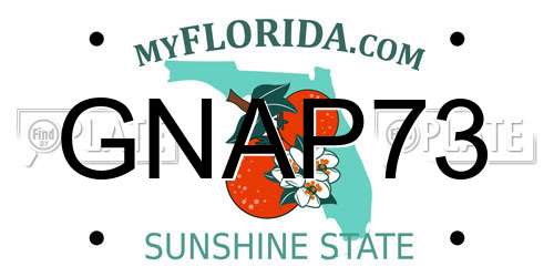 GNAP73 Florida License Plate