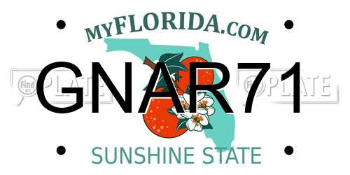 GNAR71 Florida License Plate