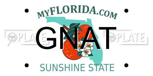 GNAT Florida License Plate