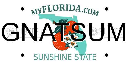 GNATSUM Florida License Plate