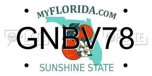GNBV78 Florida License Plate