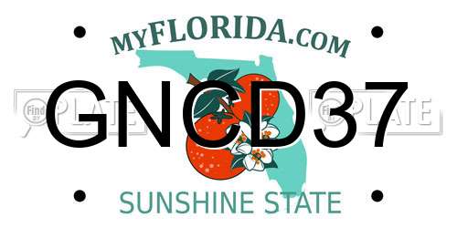 GNCD37 Florida License Plate