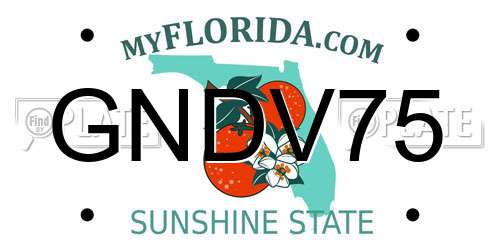 GNDV75 Florida License Plate