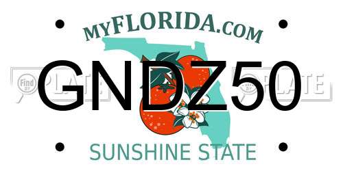 GNDZ50 Florida License Plate