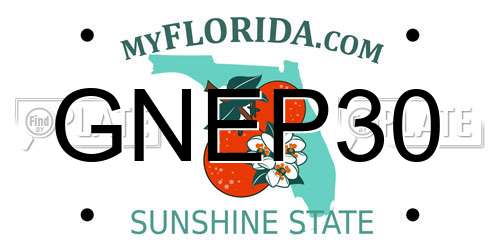 GNEP30 Florida License Plate