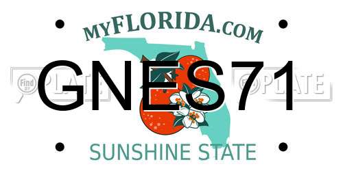 GNES71 Florida License Plate