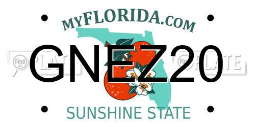 GNEZ20 Florida License Plate
