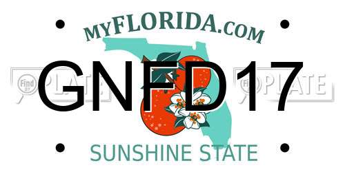 GNFD17 Florida License Plate