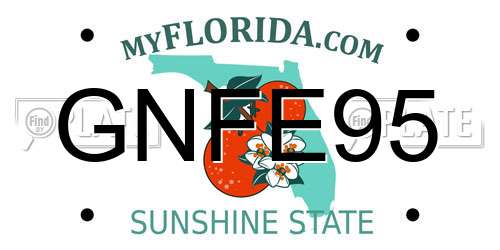 GNFE95 Florida License Plate