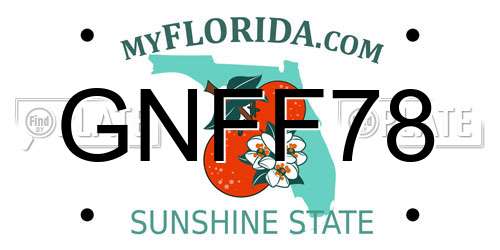GNFF78 Florida License Plate