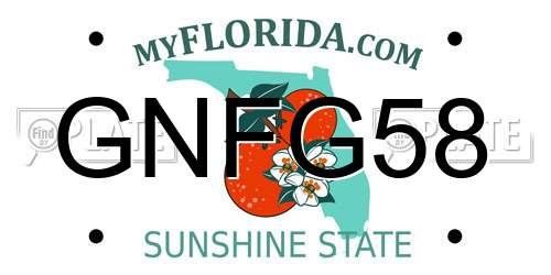 GNFG58 Florida License Plate