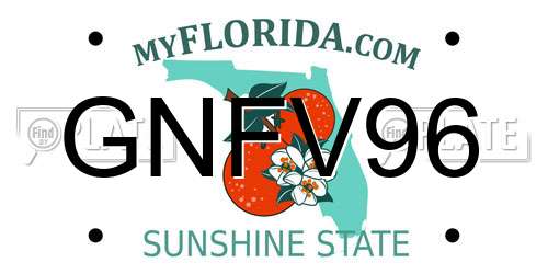 GNFV96 Florida License Plate