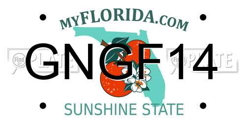 GNGF14 Florida License Plate