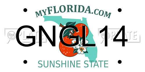 GNGL14 Florida License Plate